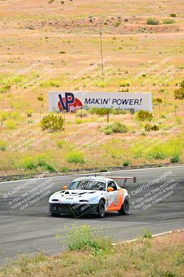 media/May-05-2024-Lucky Dog Racing (Sun) [[8a365fce5b]]/1030am-Turn 3/